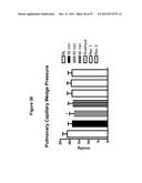 DIURETIC AND NATRIURETIC POLYPEPTIDES diagram and image