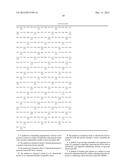 PROTEIN TO PROMOTE BLOOD VESSEL GROWTH AND USES THEREOF diagram and image