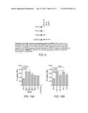 DESIGN OF SHORT OLIGONUCLEOTIDES AS VACCINE ADJUVANTS AND THERAPEUTIC     AGENTS diagram and image