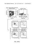 DESIGN OF SHORT OLIGONUCLEOTIDES AS VACCINE ADJUVANTS AND THERAPEUTIC     AGENTS diagram and image