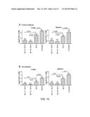 DESIGN OF SHORT OLIGONUCLEOTIDES AS VACCINE ADJUVANTS AND THERAPEUTIC     AGENTS diagram and image