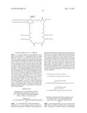 MULTIVALENT CONSTRUCTS FOR THERAPEUTIC AND DIAGNOSTIC APPLICATIONS diagram and image