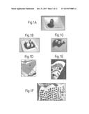 Solid Substrates for Mitigating or Preventing Cell and Tissue Adhesion and     Vascularization diagram and image