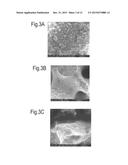 Solid Substrates for Mitigating or Preventing Cell and Tissue Adhesion and     Vascularization diagram and image