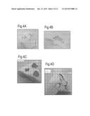 Solid Substrates for Mitigating or Preventing Cell and Tissue Adhesion and     Vascularization diagram and image