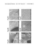 Solid Substrates for Mitigating or Preventing Cell and Tissue Adhesion and     Vascularization diagram and image