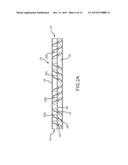 TISSUE PARCELIZATION METHOD AND APPARATUS diagram and image