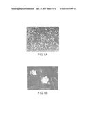 Rotary Enthalpy Exchange Wheel Having Sulfonated Block Copolymer diagram and image