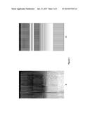 METHOD OF COATING A SUBSTRATE WITH A CATALYST COMPONENT diagram and image