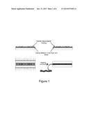 Nano-Engineered Structural Joints: Materials, Procedures and Applications     Thereof diagram and image