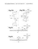 Sheet Separating Device diagram and image