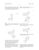 SELECTIVE DUAL INHIBITORS OF PI3 DELTA AND GAMMA PROTEIN KINASES diagram and image