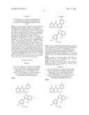 SELECTIVE DUAL INHIBITORS OF PI3 DELTA AND GAMMA PROTEIN KINASES diagram and image