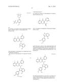 SELECTIVE DUAL INHIBITORS OF PI3 DELTA AND GAMMA PROTEIN KINASES diagram and image