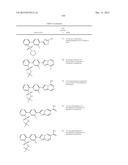 FLAP MODULATORS diagram and image