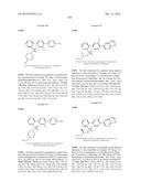 FLAP MODULATORS diagram and image