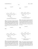 FLAP MODULATORS diagram and image