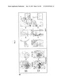 FLAGELLIN RELATED POLYPEPTIDES AND USES THEREOF diagram and image