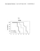 FLAGELLIN RELATED POLYPEPTIDES AND USES THEREOF diagram and image