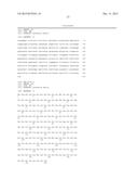 FLAGELLIN RELATED POLYPEPTIDES AND USES THEREOF diagram and image