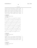 FLAGELLIN RELATED POLYPEPTIDES AND USES THEREOF diagram and image