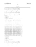 FLAGELLIN RELATED POLYPEPTIDES AND USES THEREOF diagram and image