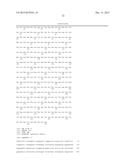 FLAGELLIN RELATED POLYPEPTIDES AND USES THEREOF diagram and image