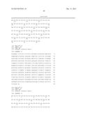 FLAGELLIN RELATED POLYPEPTIDES AND USES THEREOF diagram and image