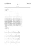 FLAGELLIN RELATED POLYPEPTIDES AND USES THEREOF diagram and image