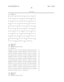 FLAGELLIN RELATED POLYPEPTIDES AND USES THEREOF diagram and image