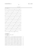 FLAGELLIN RELATED POLYPEPTIDES AND USES THEREOF diagram and image