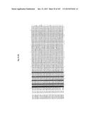 FLAGELLIN RELATED POLYPEPTIDES AND USES THEREOF diagram and image