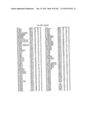 FLAGELLIN RELATED POLYPEPTIDES AND USES THEREOF diagram and image