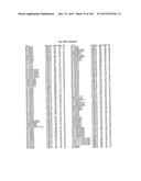 FLAGELLIN RELATED POLYPEPTIDES AND USES THEREOF diagram and image