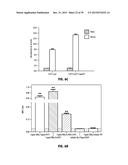 Norrin Mutant Polypeptides, Methods of Making and Uses Thereof diagram and image