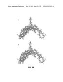 Norrin Mutant Polypeptides, Methods of Making and Uses Thereof diagram and image