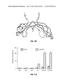 Norrin Mutant Polypeptides, Methods of Making and Uses Thereof diagram and image