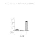 Norrin Mutant Polypeptides, Methods of Making and Uses Thereof diagram and image