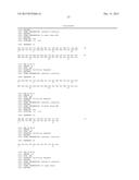 GRAM-POSITIVE BACTERIA SPECIFIC BINDING COMPOUNDS diagram and image