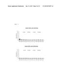 METHOD FOR REFOLDING ANTIBODY, PROCESS FOR PRODUCING REFOLDED ANTIBODY,     REFOLDED ANTIBODY, AND USES THEREOF diagram and image