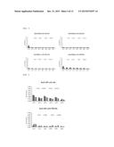 METHOD FOR REFOLDING ANTIBODY, PROCESS FOR PRODUCING REFOLDED ANTIBODY,     REFOLDED ANTIBODY, AND USES THEREOF diagram and image