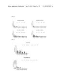 METHOD FOR REFOLDING ANTIBODY, PROCESS FOR PRODUCING REFOLDED ANTIBODY,     REFOLDED ANTIBODY, AND USES THEREOF diagram and image