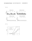 METHOD FOR REFOLDING ANTIBODY, PROCESS FOR PRODUCING REFOLDED ANTIBODY,     REFOLDED ANTIBODY, AND USES THEREOF diagram and image