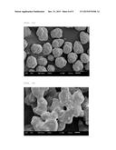 SOLID POLYALUMINOXANE COMPOSITION, OLEFIN POLYMERIZATION CATALYST, OLEFIN     POLYMER PRODUCTION METHOD AND SOLID POLYALUMINOXANE COMPOSITION     PRODUCTION METHOD diagram and image