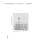 UNDIFFERENTIATED CELL ELIMINATION METHOD diagram and image