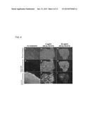 UNDIFFERENTIATED CELL ELIMINATION METHOD diagram and image