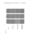 UNDIFFERENTIATED CELL ELIMINATION METHOD diagram and image