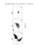 ADIPOSE-DERIVED STEM CELLS AND LATTICES diagram and image