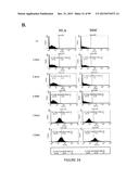 ADIPOSE-DERIVED STEM CELLS AND LATTICES diagram and image