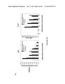 ADIPOSE-DERIVED STEM CELLS AND LATTICES diagram and image